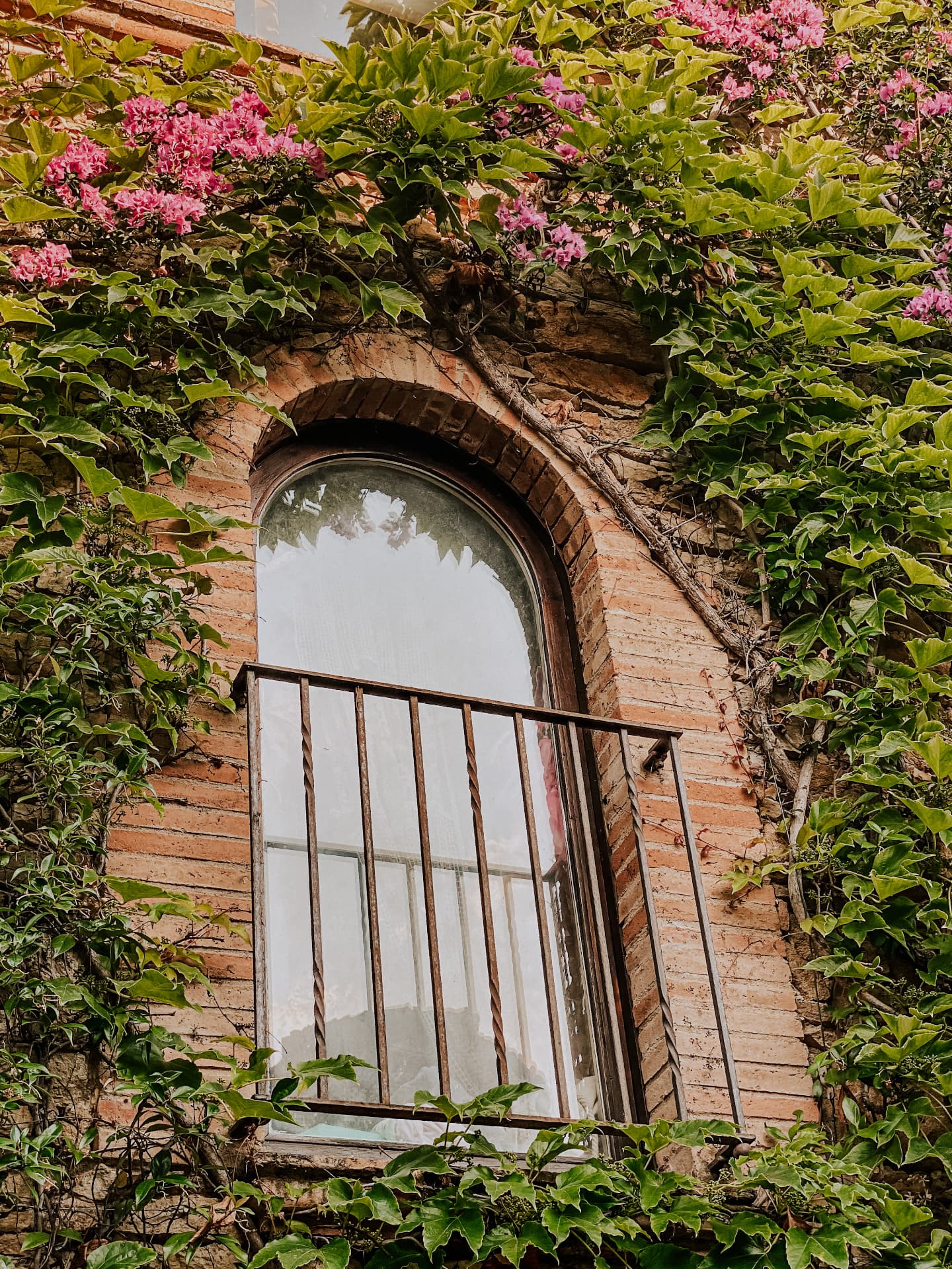 Arched wooden window framed by bougainvillea and vines on an old stone house